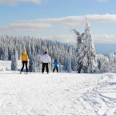 костадинов 2 アパート