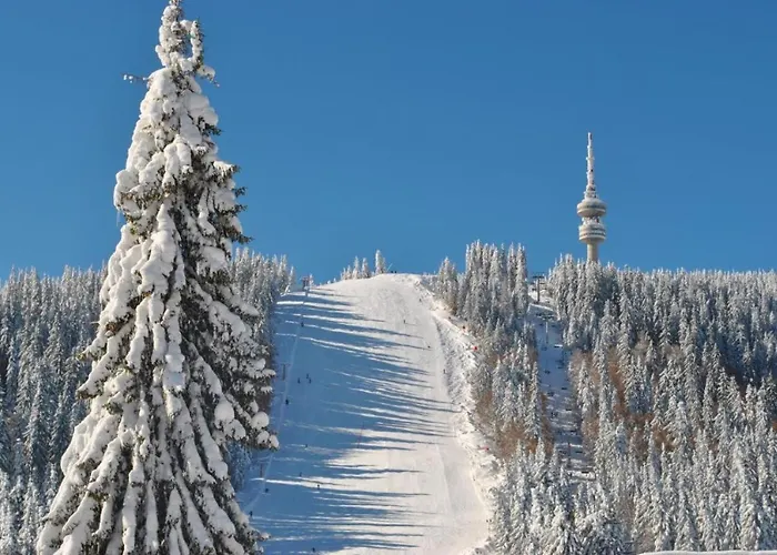 костадинов 2 * Pamporowo